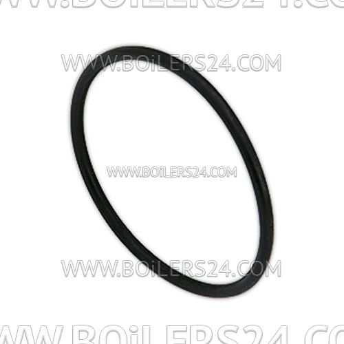 Ecoflam O-ring, 65324700