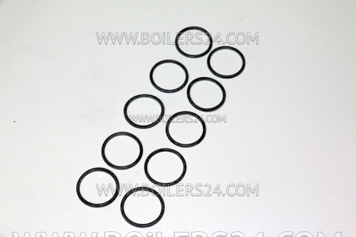 Baxi Gasket 28, 24x2, 62, JJJ005400400