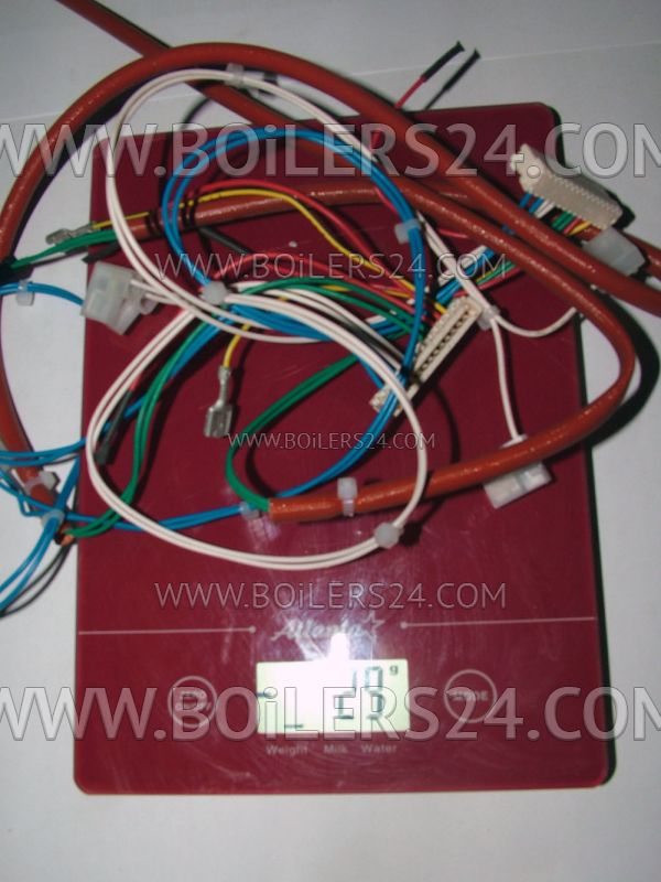 Baxi Low voltage electrical wiring, JJJ008514170