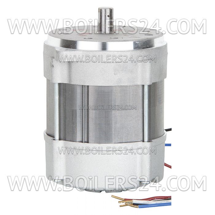 Riello 150W electric motor, 3005820