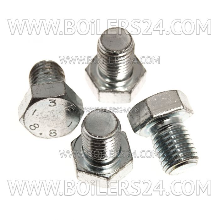 Riello Screw 10 pcs., 3003481