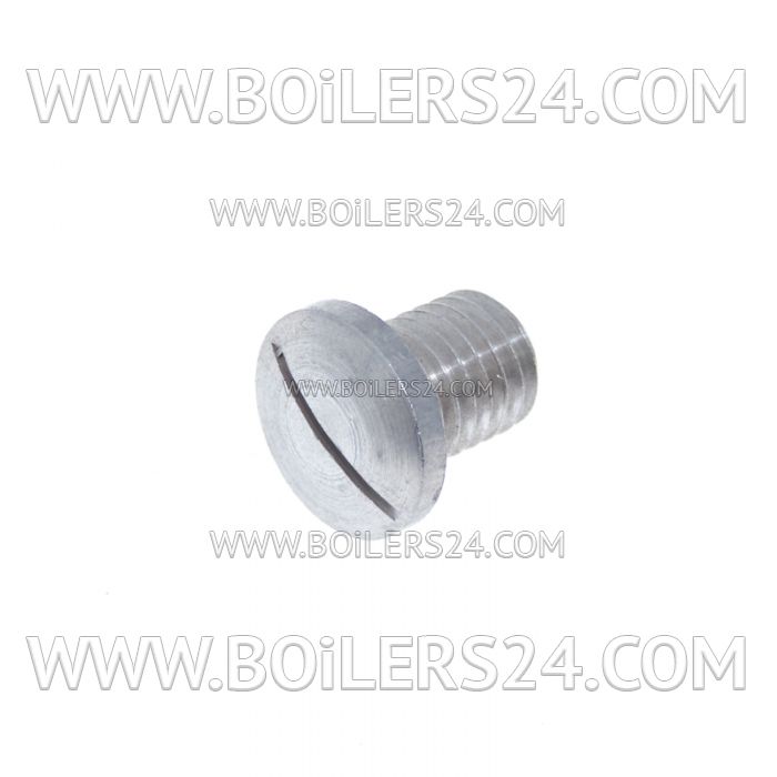 Riello Screw 5 pcs., 3003776