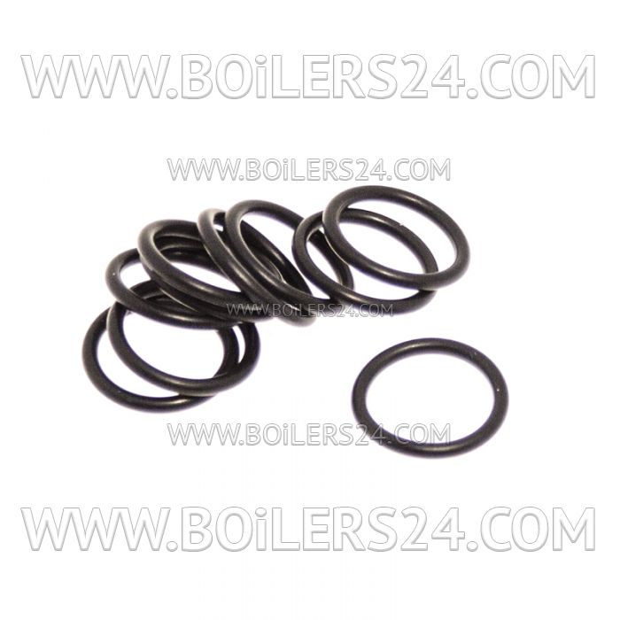 Riello O-ring 10 pcs., 3007161