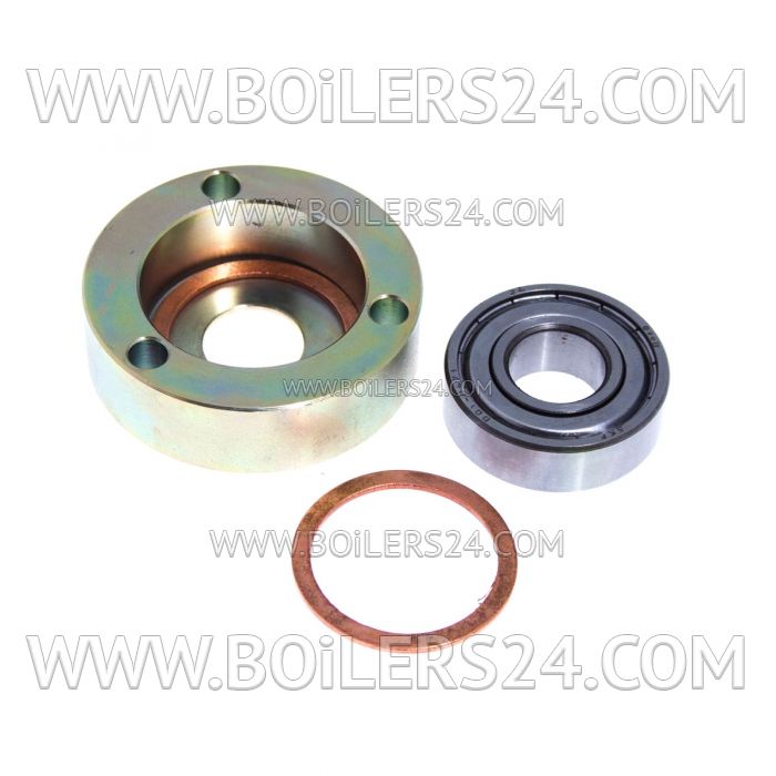 Riello Bearing, 3012357