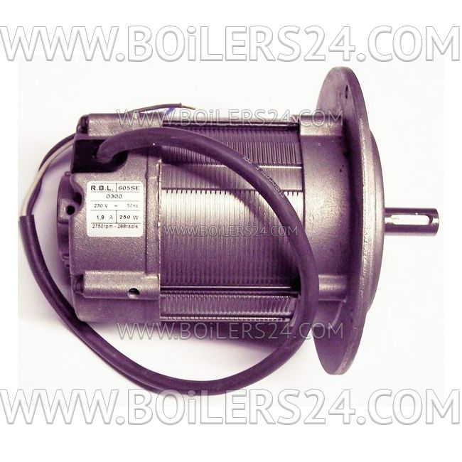 Riello 250W electric motor, 3003768