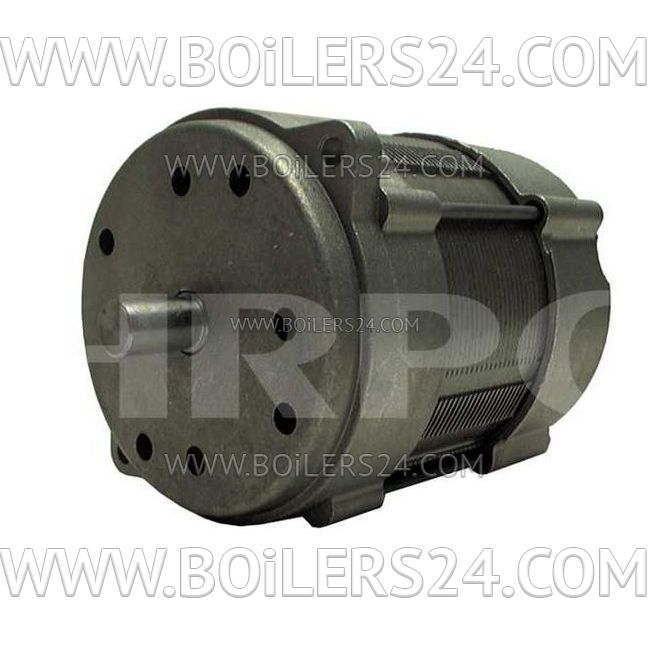 Riello 150W electric motor, 3005820