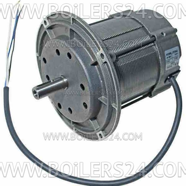 Riello 250W electric motor, 3003768