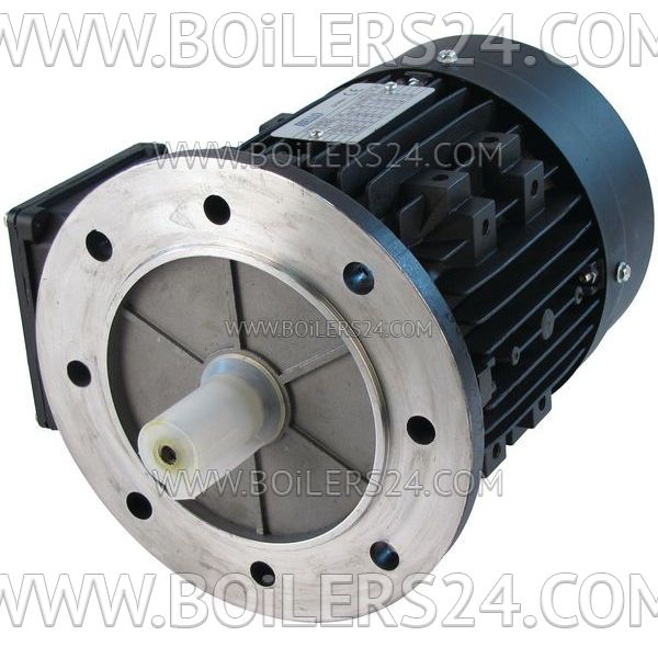 Riello 1500W electric motor, 3003967