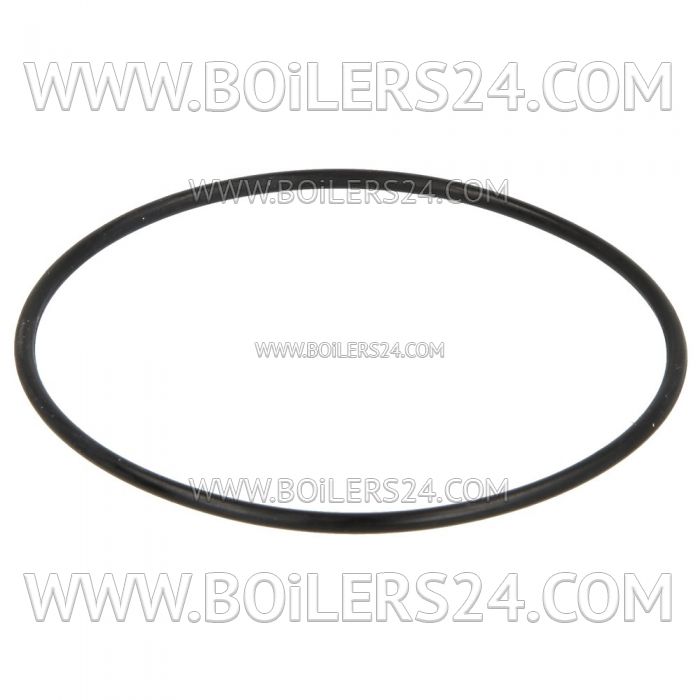 Riello Ring gasket for RBL pump, 10 pcs., 3007162