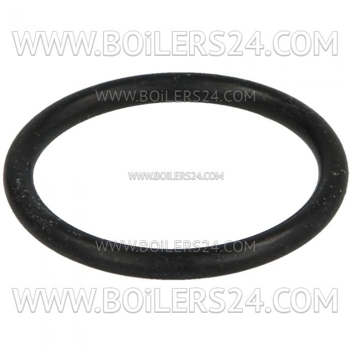 Riello Sealing ring, 3008003