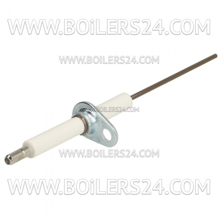 Wolf Ionization electrode for NG-2E, 2796250, 8902571