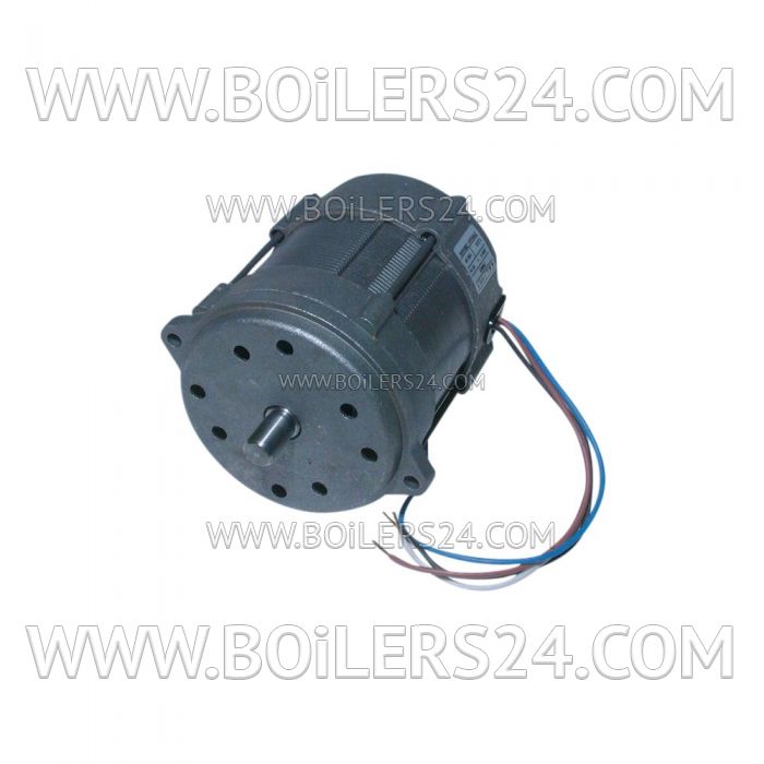 Riello 150W electric motor, 3005820