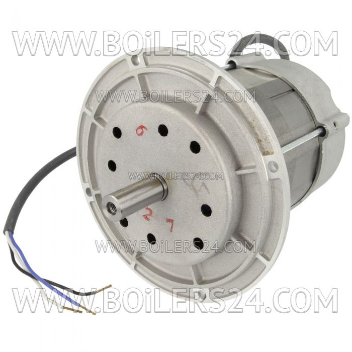 Riello 250W electric motor, 3003768