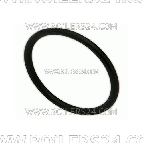 Ecoflam Gasket OR3118 29.82x2, 62, 65324006