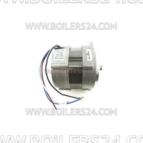 Riello 250W electric motor, 3003768