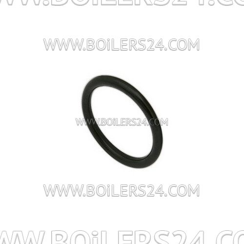 Ecoflam Gasket OR3081, 65323991