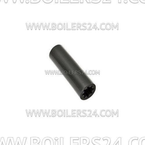 Ecoflam Coupling for electric motor (motor) (120), 65324199