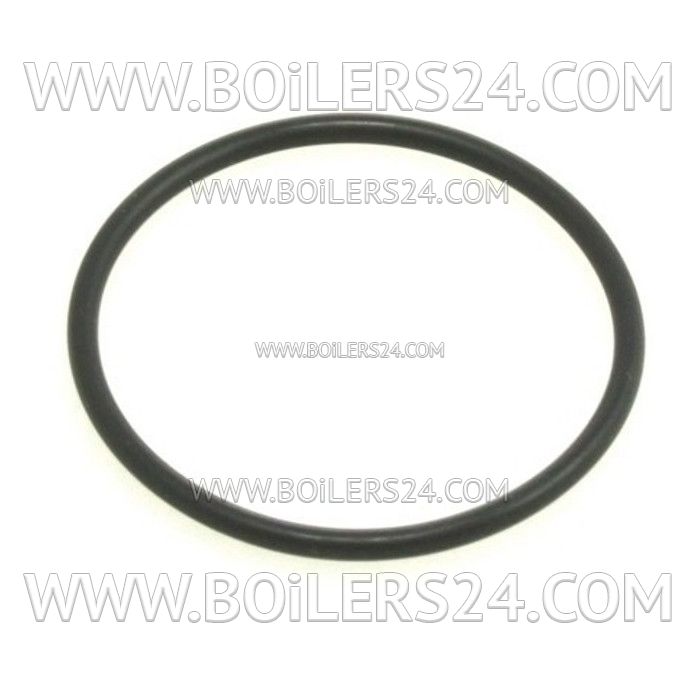 Honeywell Ring gasket for flanges 1/2", 3/4", 45002776-002